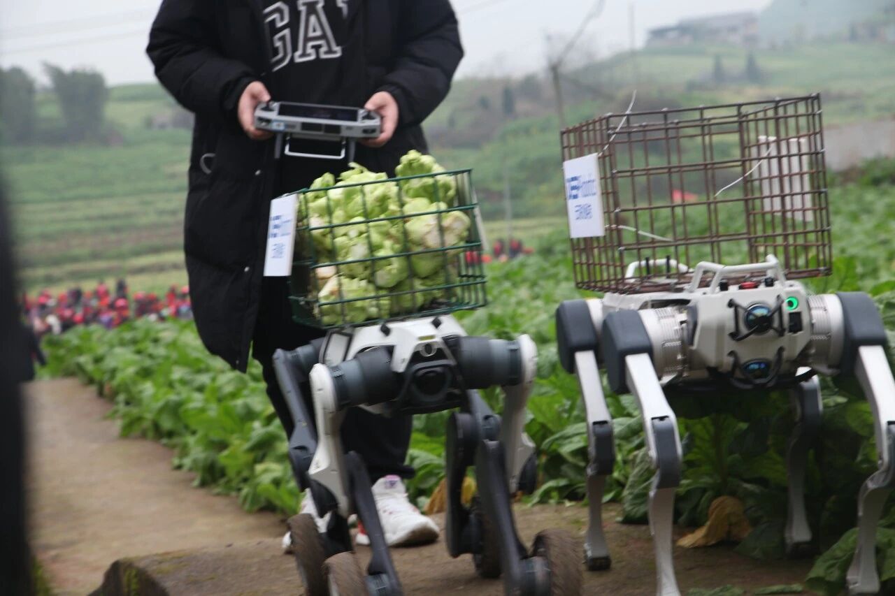 GA黄金甲(中国游)最新官方网站
